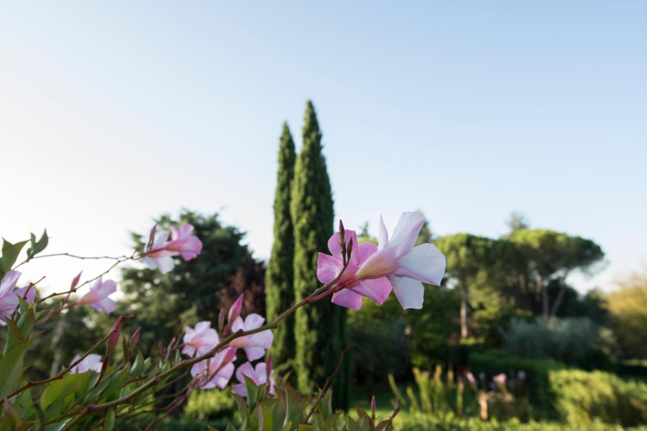 Borgo Villa Risi سيينا المظهر الخارجي الصورة